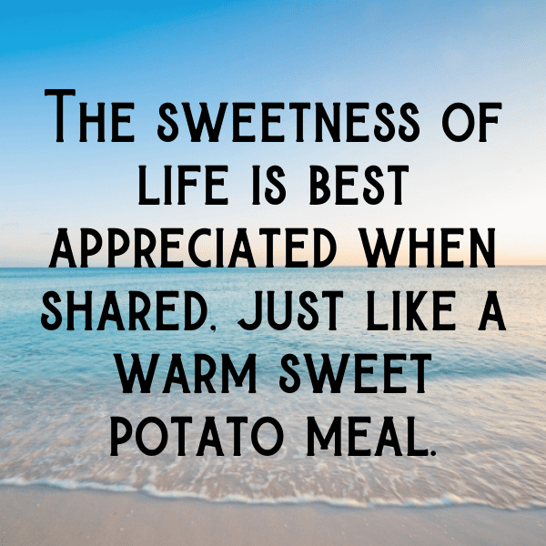 231+ Sweet Potato Captions For Instagram (Fresh & Trendy) 10 Sweet Potato Captions Photo For Instagram-JgWUBG