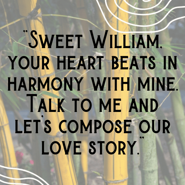 Sweet William Captions Photo For Instagram-hjqn4C