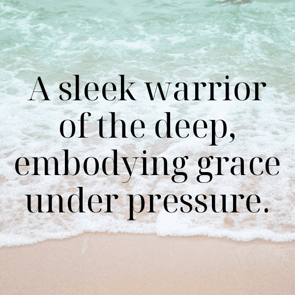 292+ Swordfish Captions For Instagram (Best, Funny & Short) 11 Swordfish Captions Image For Instagram-HGESFO