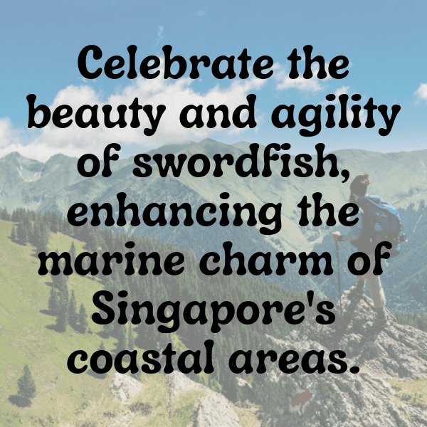 292+ Swordfish Captions For Instagram (Best, Funny & Short) 13 Swordfish Captions Photo For Instagram-joQ8E4