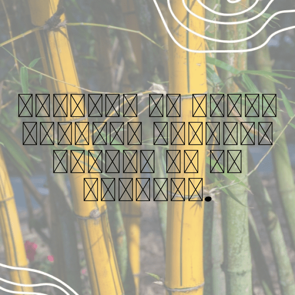 Syria Captions Photo For Instagram-THLAtA