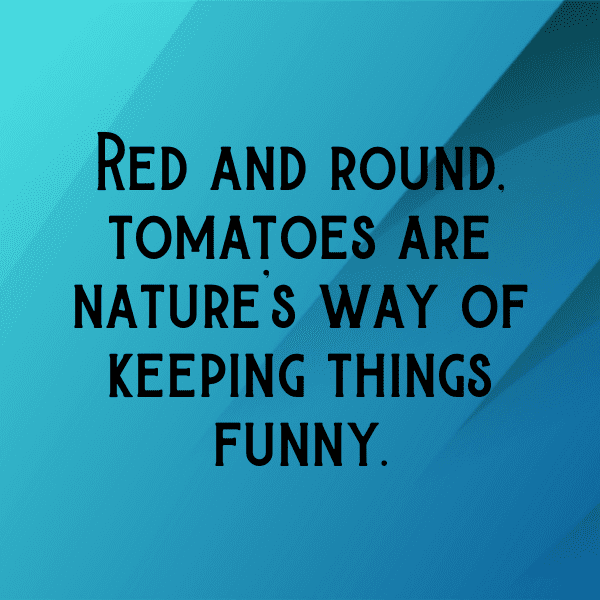 Tamarillo Captions Photo For Instagram-pa3jDp