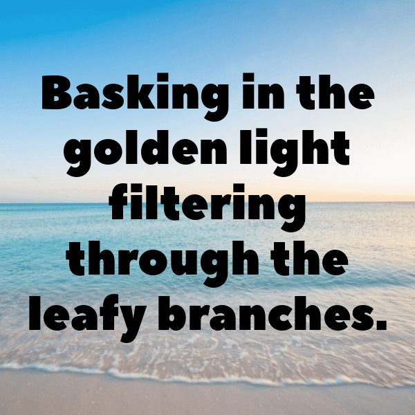 Tamarind Captions Image For Instagram-XSCsri