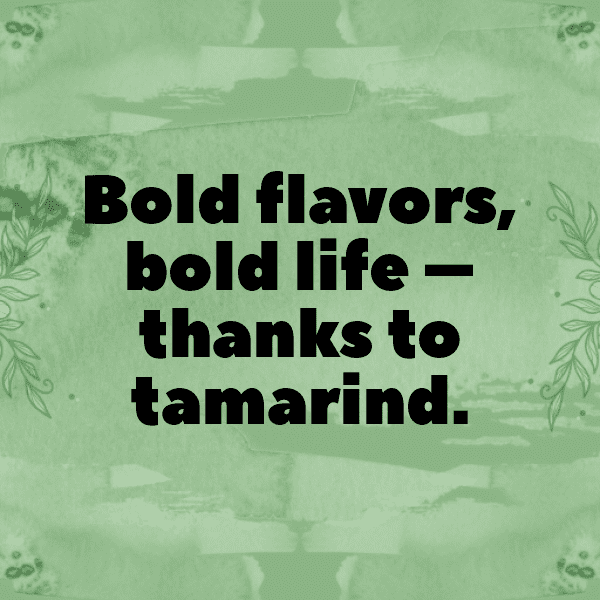 Tamarind Captions Photo For Instagram-WmiEcn