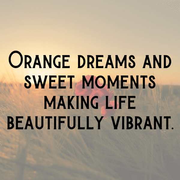 Tangerine Captions Image For Instagram-8rf3jp