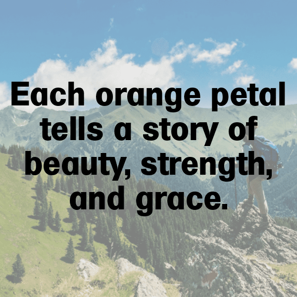 341+ Tangerine Tomato Captions For Instagram (Trending, Funny & Top) 5 Tangerine Tomato Captions Image For Instagram-PcnP4O