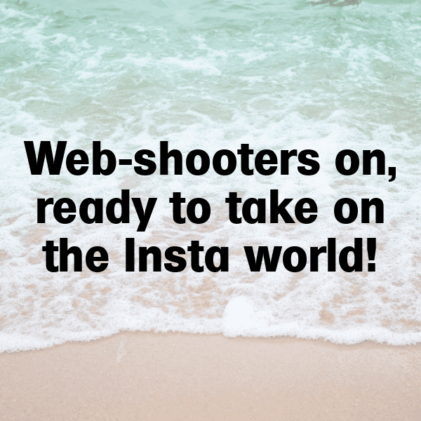 255+ Tarantula Captions For Instagram (Fresh & Trendy) 16 Tarantula Captions Photo For Instagram-0gdQBV