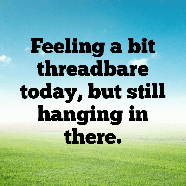 255+ Tarantula Captions For Instagram (Fresh & Trendy) 4 Tarantula Captions Photo For Instagram-Fd4udR