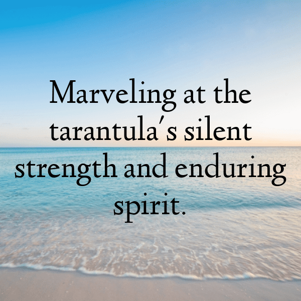 255+ Tarantula Captions For Instagram (Fresh & Trendy) 9 Tarantula Captions Photo For Instagram-TrBadl