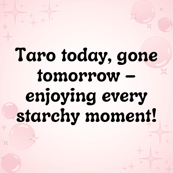 Taro Captions Image For Instagram-JYBrhV