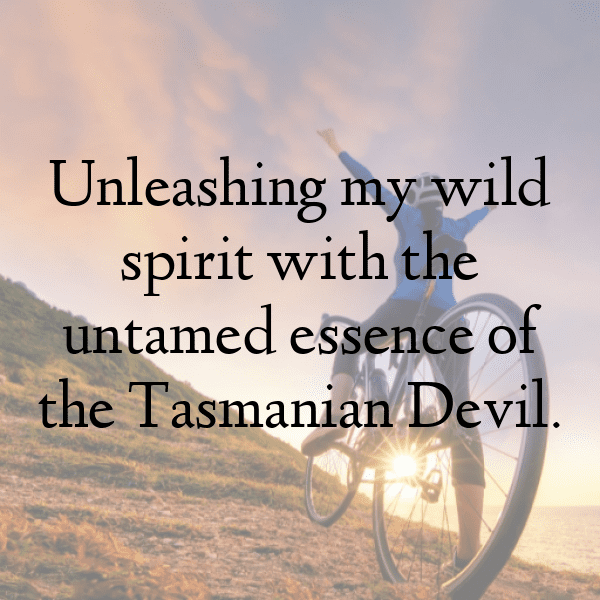 326+ Tasmanian Devil Captions For Instagram (Trending, Funny & Top) 3 Tasmanian Devil Captions Image For Instagram-QyLO93