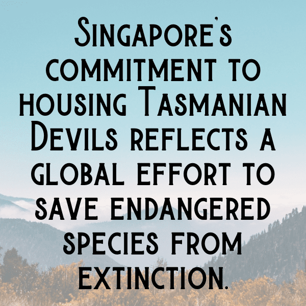 326+ Tasmanian Devil Captions For Instagram (Trending, Funny & Top) 5 Tasmanian Devil Captions Photo For Instagram-ILtSGG