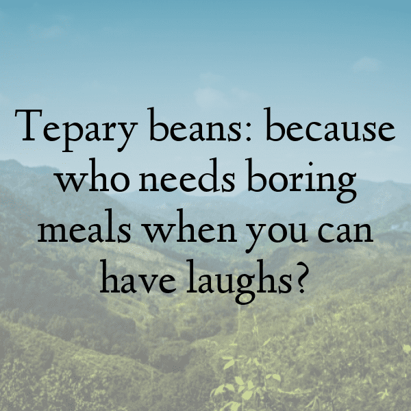 Tepary Bean Captions Photo For Instagram-mBzTx4