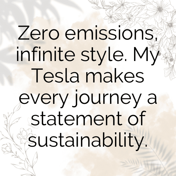 Tesla Model S Captions Image for Instagram-wR5RtE