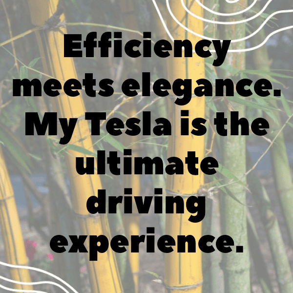 Tesla Model X Captions Image for Instagram-IX4kAX