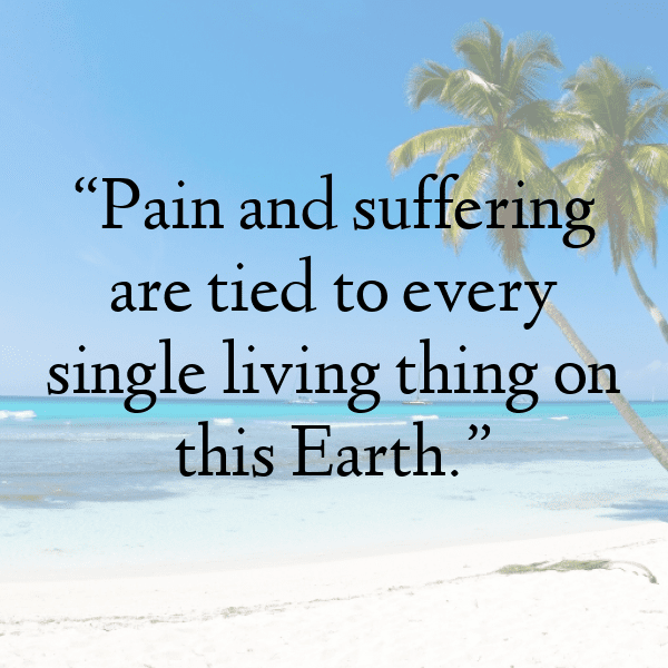 235+ The Last of Us Captions for Instagram (Trending, Funny & Top) 6 The Last of Us Captions Photo for Instagram-9mTHSi