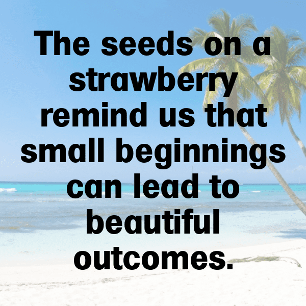 295+ Thimbleberry Captions For Instagram (Fresh & Trendy) 7 Thimbleberry Captions Image For Instagram-AYjuUE