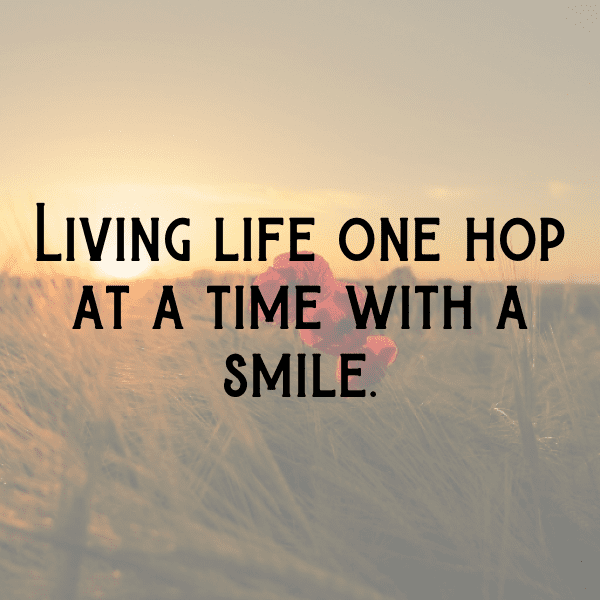 254+ Thumper Captions for Instagram (Fresh & Trendy) 7 Thumper Captions Image for Instagram-PKLhhP