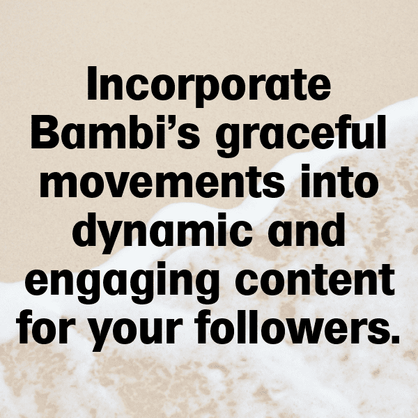 254+ Thumper Captions for Instagram (Fresh & Trendy) 9 Thumper Captions Photo for Instagram-NxTJ2P