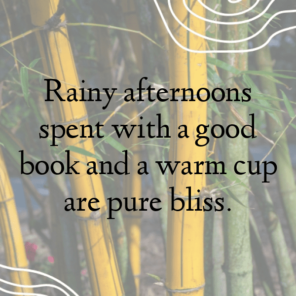 204+ Thunderstorm Captions for Instagram (Best, Funny & Short) 5 Thunderstorm Captions Image for Instagram-SAYftb