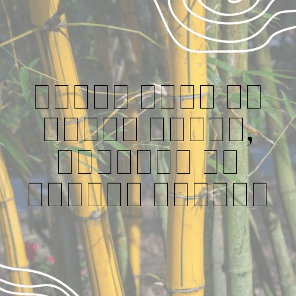 204+ Thunderstorm Captions for Instagram (Best, Funny & Short) 10 Thunderstorm Captions Photo for Instagram-JKrbVL