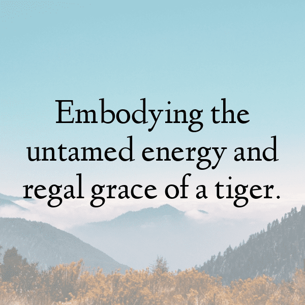 Tiger Captions Image For Instagram-Ty6xt3