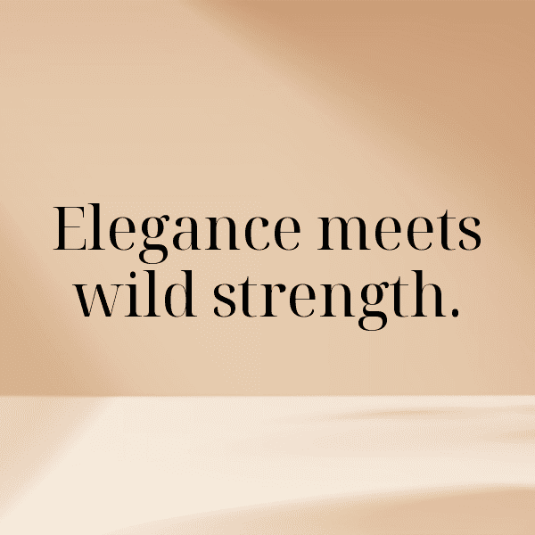 Tiger Captions Image For Instagram-W5hLgQ