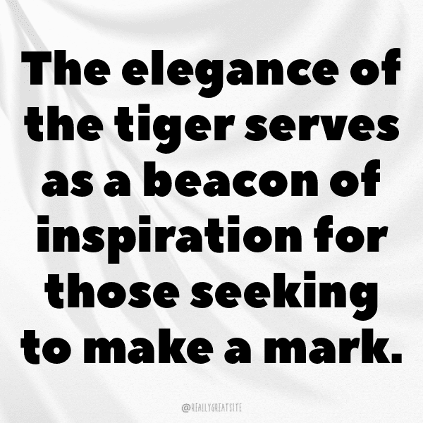 Tiger Captions Photo For Instagram-M26DkD