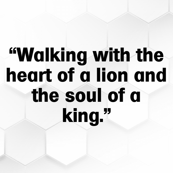 Tiger Captions Photo For Instagram-WIWGro