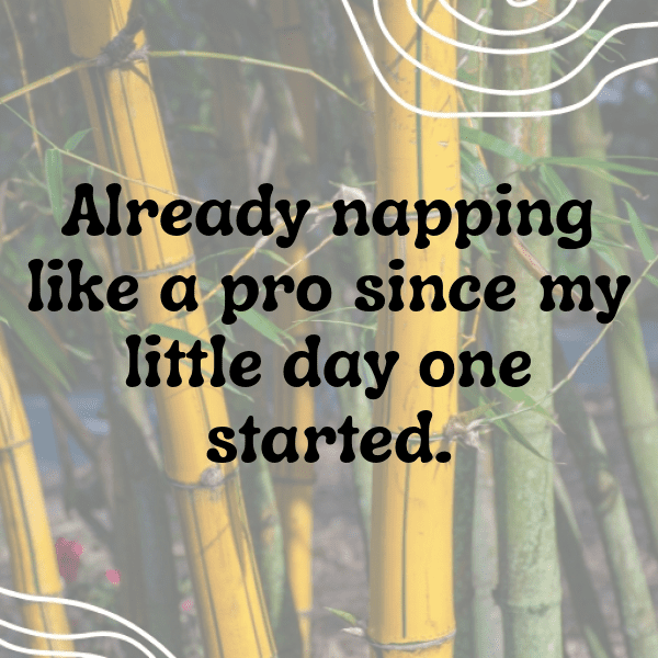 282+ Tiny Wonders Baby Captions for Instagram (Best, Funny & Short) 9 Tiny Wonders Baby Captions Photo for Instagram-BH7ITx