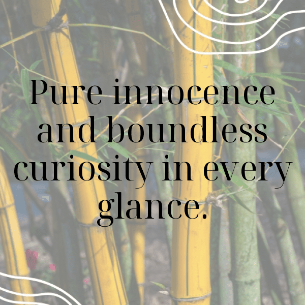 282+ Tiny Wonders Baby Captions for Instagram (Best, Funny & Short) 12 Tiny Wonders Baby Captions Photo for Instagram-FY9IMi