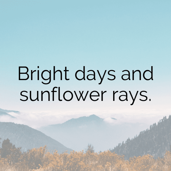 232+ Tithonia Captions For Instagram In 2025 5 Tithonia Captions Image For Instagram-oCJslL