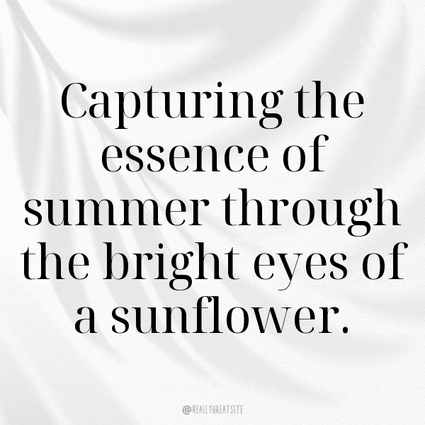 232+ Tithonia Captions For Instagram In 2025 3 Tithonia Captions Image For Instagram-v2WxLw