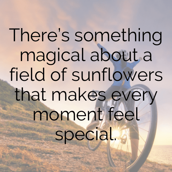 232+ Tithonia Captions For Instagram In 2025 4 Tithonia Captions Image For Instagram-xQtjmf