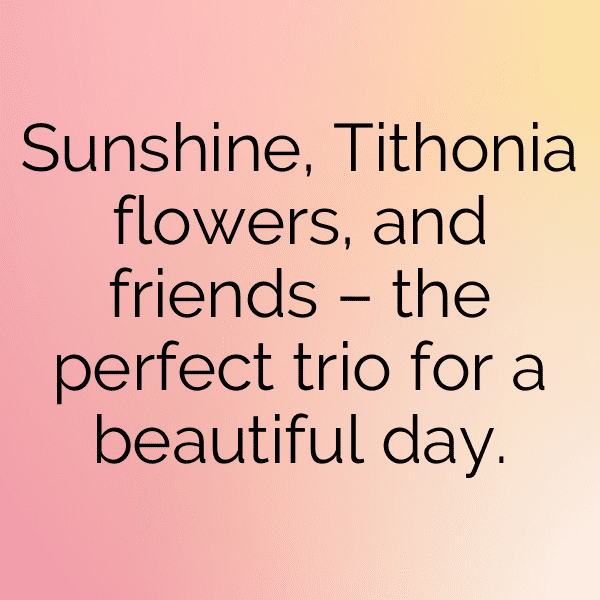 232+ Tithonia Captions For Instagram In 2025 10 Tithonia Captions Photo For Instagram-g51duj