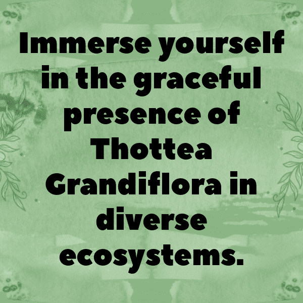 232+ Tithonia Captions For Instagram In 2025 11 Tithonia Captions Photo For Instagram-XDLq2C