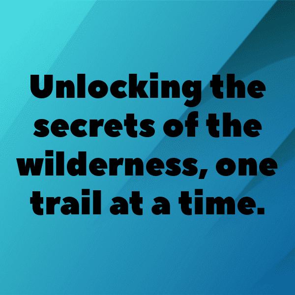 313+ Toad Captions For Instagram (Best, Funny & Short) 11 Toad Captions Image For Instagram-1vMDnQ