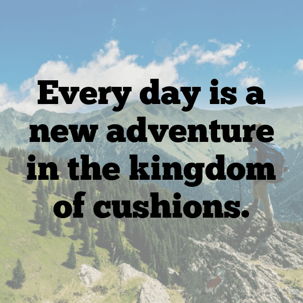 313+ Toad Captions For Instagram (Best, Funny & Short) 4 Toad Captions Image For Instagram-4iyg66