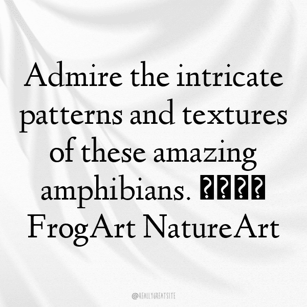 313+ Toad Captions For Instagram (Best, Funny & Short) 5 Toad Captions Photo For Instagram-QSY1gV