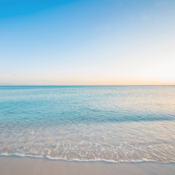 313+ Toad Captions For Instagram (Best, Funny & Short) 15 Toad Captions Photo For Instagram-wwGh4c