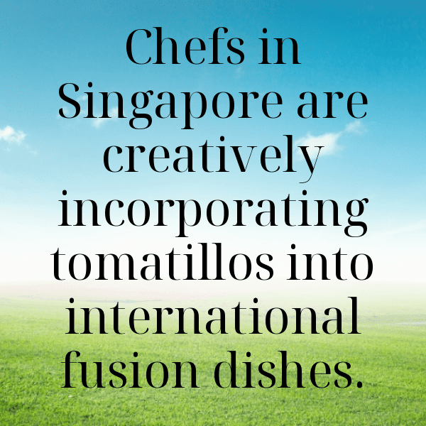 311+ Tomatillo Captions For Instagram In 2025 7 Tomatillo Captions Image For Instagram-xckdPj