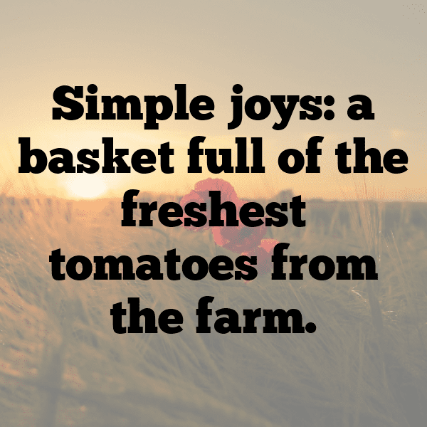 Tomato Captions Image For Instagram-OFCfU1