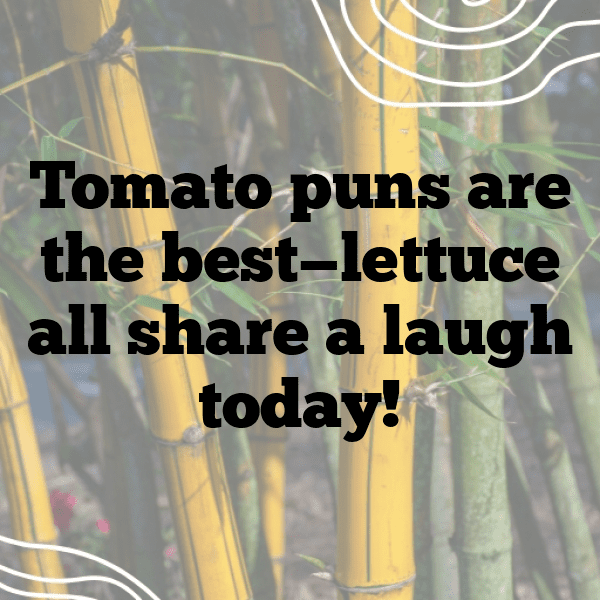 Tomato Captions Photo For Instagram-A1pcBL