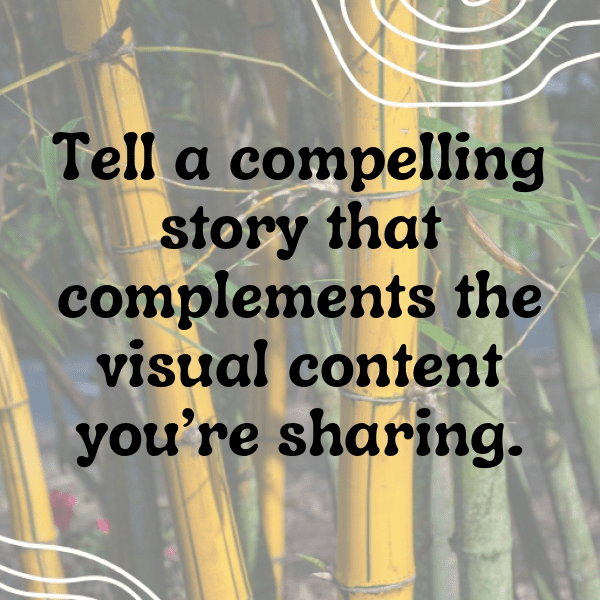 Tomato Captions Photo For Instagram-n6NI8K