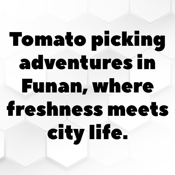 Tomato Captions Photo For Instagram-oYtZoe