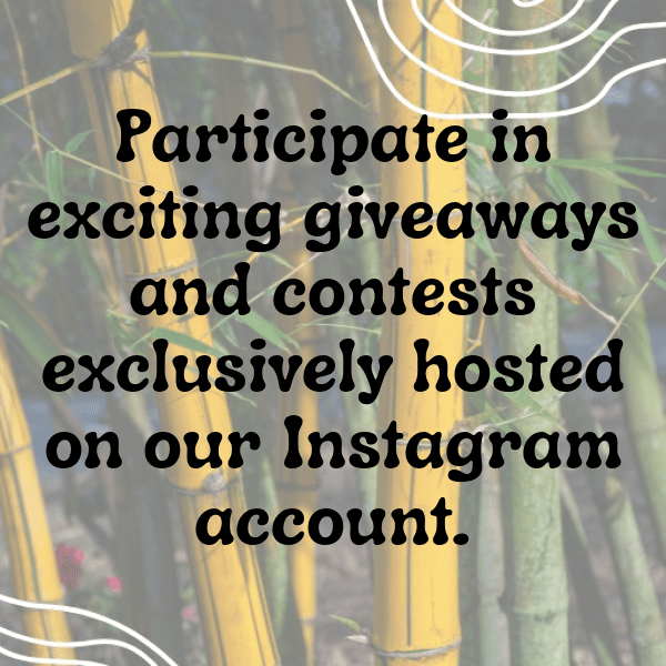 Toyota RAV4 Captions Image for Instagram-iTiHrC