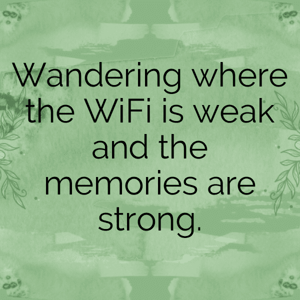 324+ Travel Short Captions For Instagram (Trending, Funny & Top) 12 Travel Short Captions Image For Instagram-njrLQn