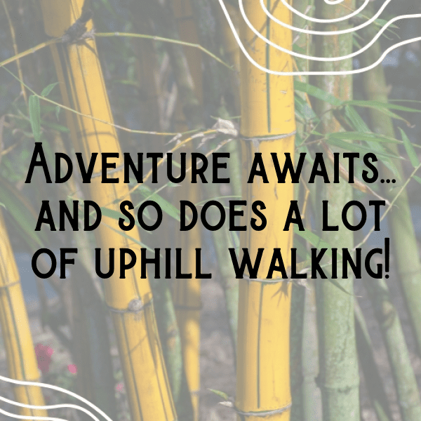 213+ Trekking Captions For Instagram (Best, Funny & Short) 13 Trekking Captions Image For Instagram-150ASt