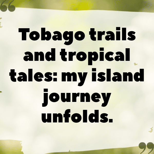 331+ Trinidad and Tobago Captions For Instagram (Short, Trending & Viral) 5 Trinidad and Tobago Captions Image For Instagram-MagVZB