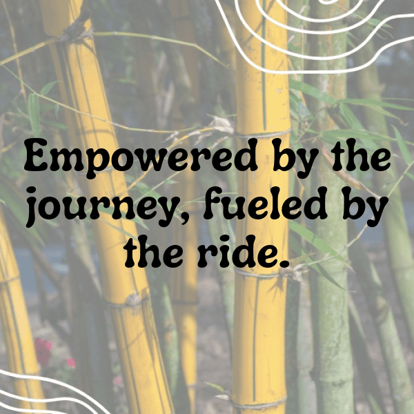 252+ Triumph Bonneville Bobber Captions for Instagram (Fresh & Trendy) 5 Triumph Bonneville Bobber Captions Photo for Instagram-ivWC4K